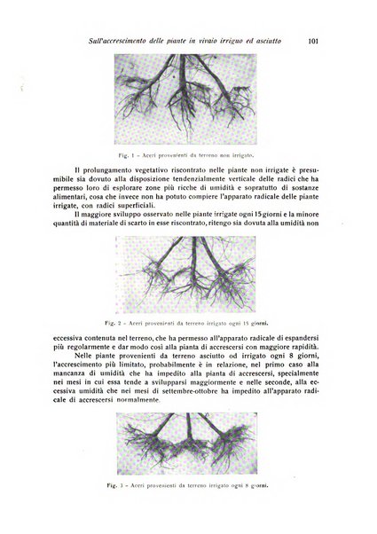 Rivista di frutticultura