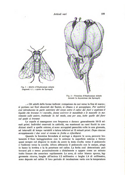 Rivista di frutticultura