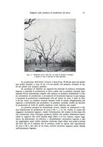 giornale/PUV0114528/1943/n.1/00000013