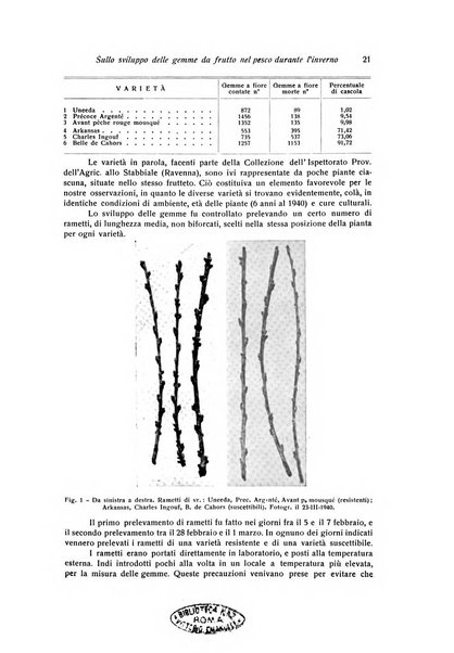 Rivista di frutticultura