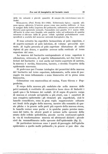 Archivio italiano di urologia