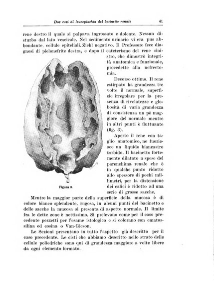 Archivio italiano di urologia