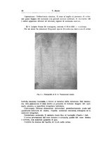 giornale/PUV0114683/1925/v.1/00000066