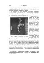 giornale/PUV0114683/1925/v.1/00000124
