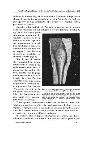 Archivio italiano di urologia