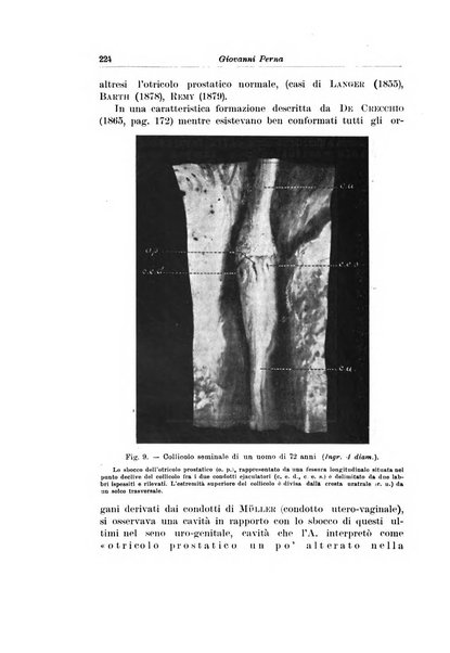 Archivio italiano di urologia