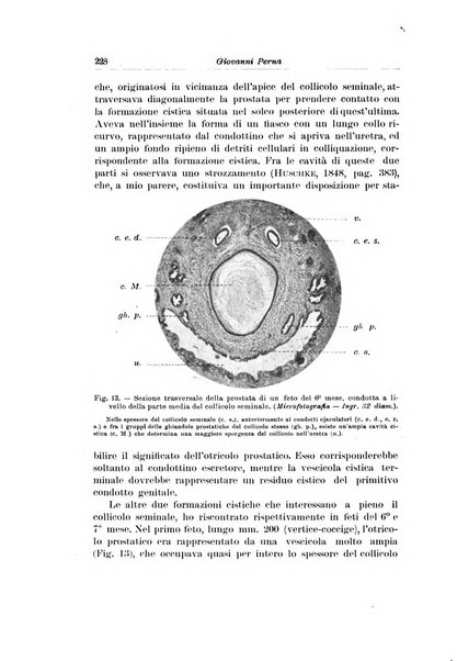 Archivio italiano di urologia