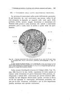 giornale/PUV0114683/1925/v.1/00000261