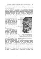 giornale/PUV0114683/1925/v.1/00000263