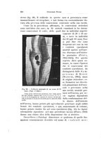 giornale/PUV0114683/1925/v.1/00000266