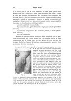 giornale/PUV0114683/1925/v.1/00000292