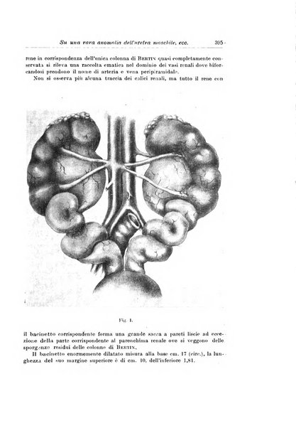 Archivio italiano di urologia