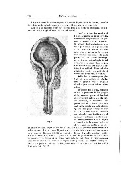 Archivio italiano di urologia