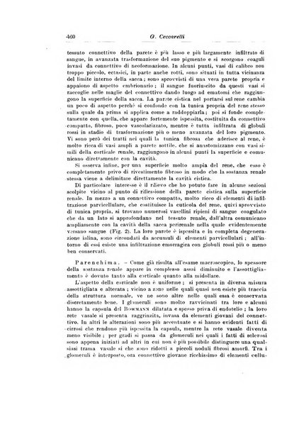 Archivio italiano di urologia