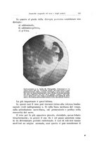 giornale/PUV0114683/1925/v.2/00000161