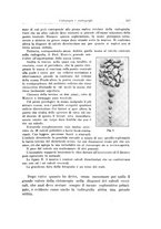 giornale/PUV0114683/1925/v.2/00000265