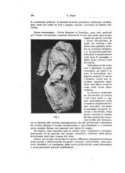 Archivio italiano di urologia