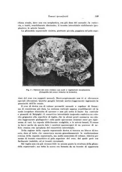 Archivio italiano di urologia