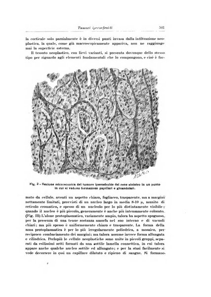 Archivio italiano di urologia