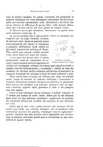 giornale/PUV0114683/1926/unico/00000019