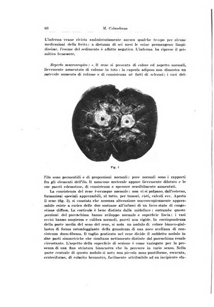 Archivio italiano di urologia