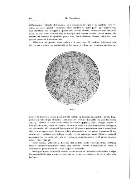 Archivio italiano di urologia