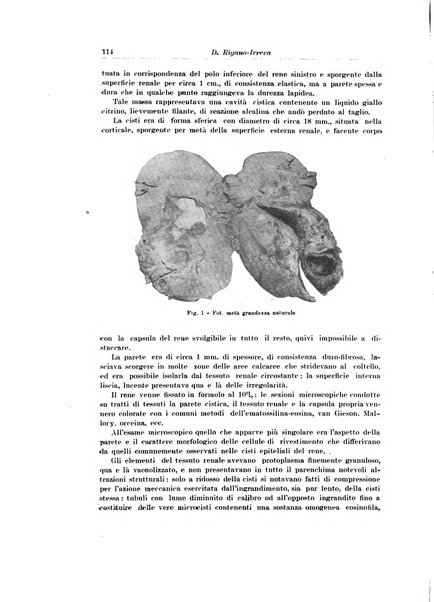 Archivio italiano di urologia