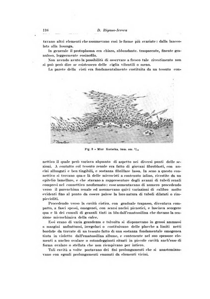 Archivio italiano di urologia