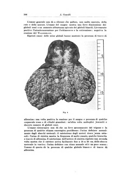 Archivio italiano di urologia