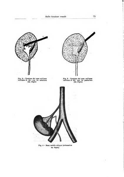 Archivio italiano di urologia