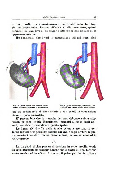 Archivio italiano di urologia