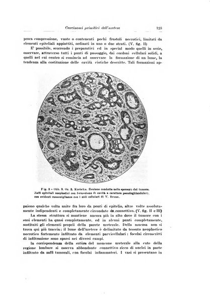 Archivio italiano di urologia