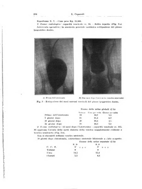 Archivio italiano di urologia