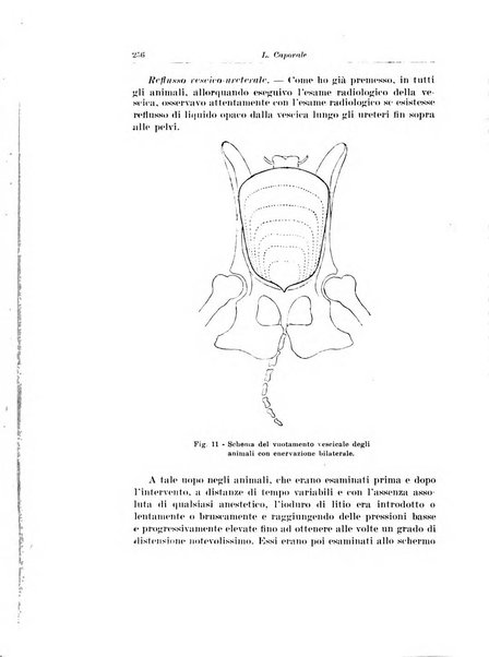 Archivio italiano di urologia