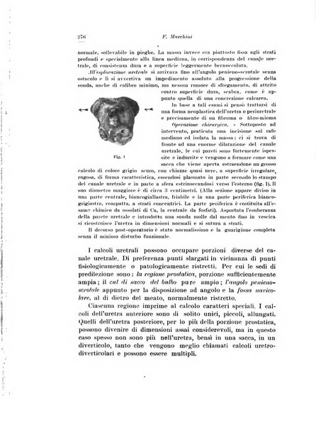 Archivio italiano di urologia