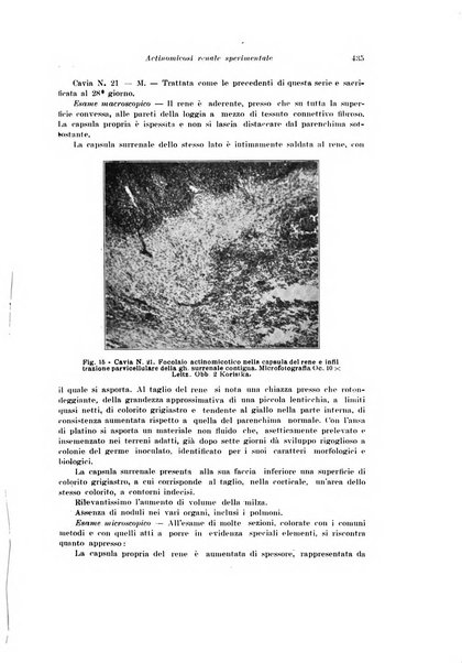 Archivio italiano di urologia