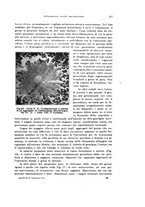 giornale/PUV0114683/1927-1928/unico/00000435