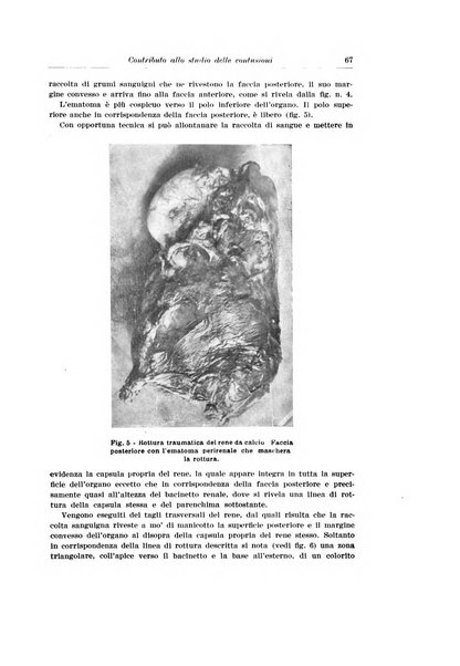 Archivio italiano di urologia