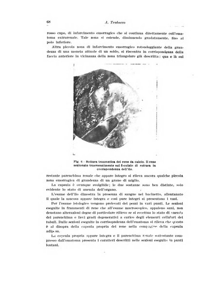 Archivio italiano di urologia