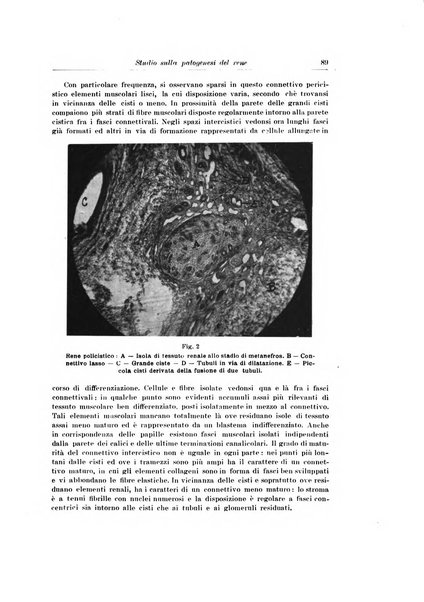 Archivio italiano di urologia