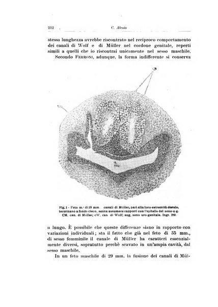 Archivio italiano di urologia