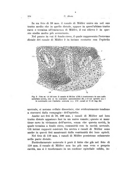 Archivio italiano di urologia