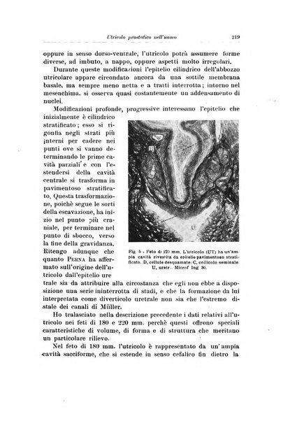 Archivio italiano di urologia