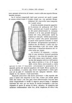 giornale/PUV0114683/1928-1929/unico/00000241