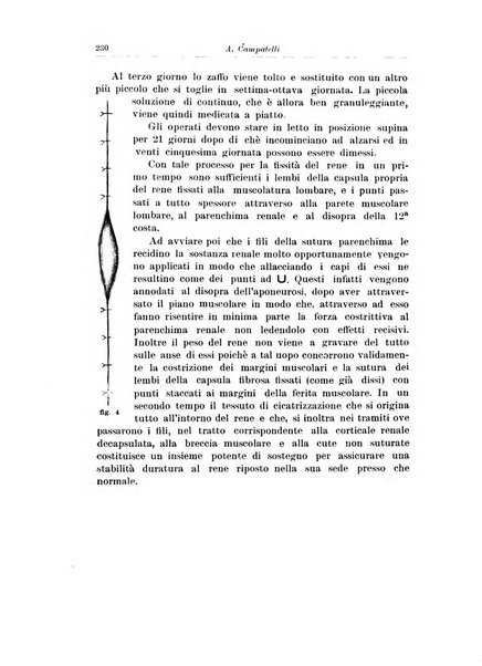 Archivio italiano di urologia