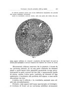 giornale/PUV0114683/1928-1929/unico/00000299