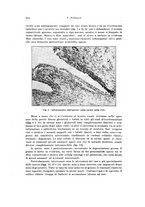 giornale/PUV0114683/1928-1929/unico/00000330