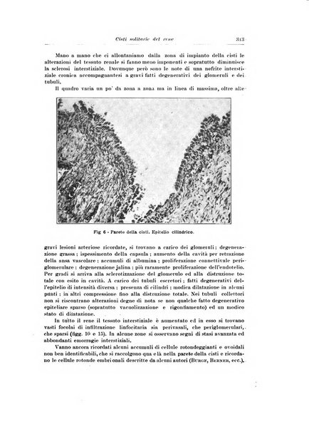 Archivio italiano di urologia