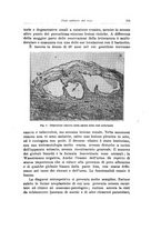 giornale/PUV0114683/1928-1929/unico/00000333