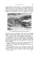 giornale/PUV0114683/1928-1929/unico/00000339